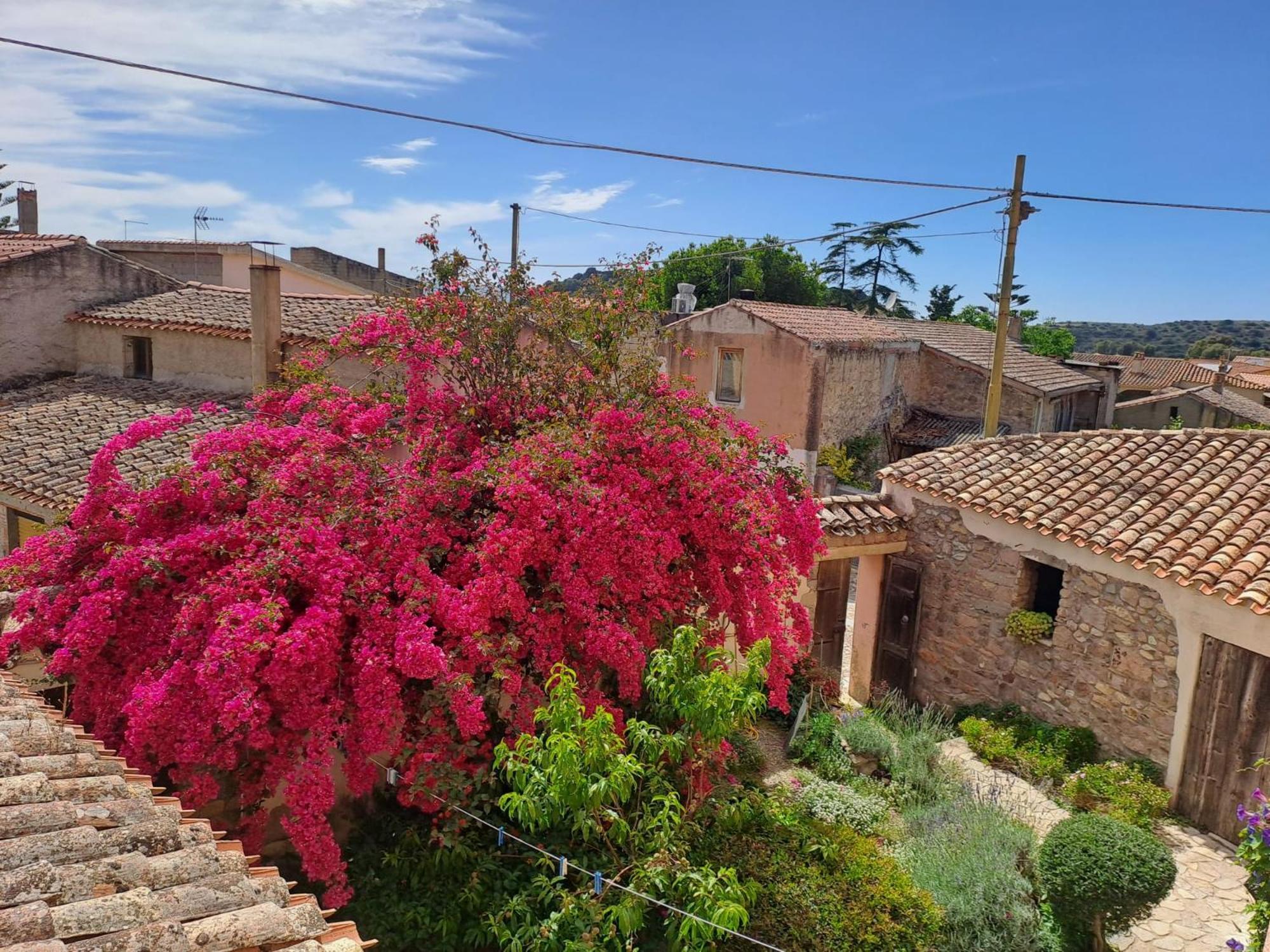 B&B S'Omu Antiga Nureci Exterior photo