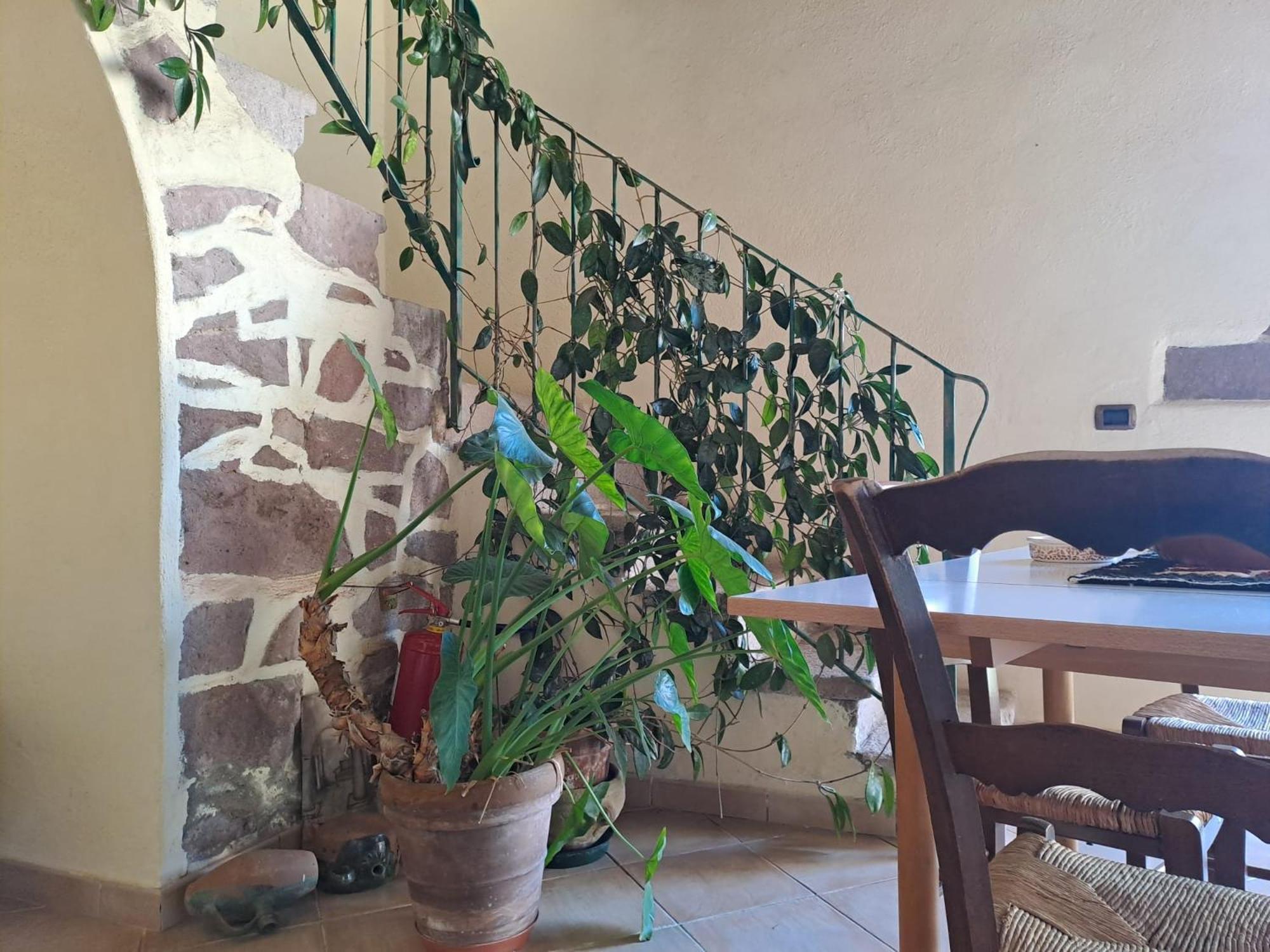B&B S'Omu Antiga Nureci Exterior photo